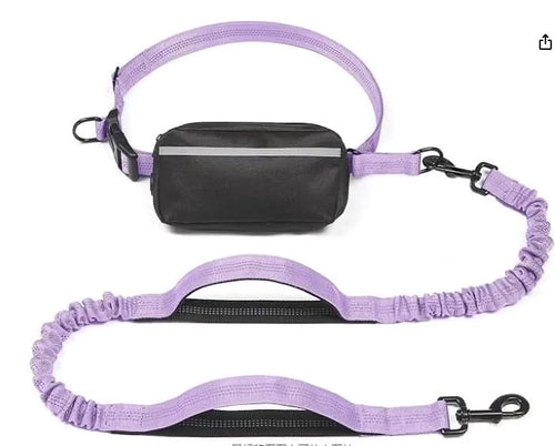 Hands-Free Leash