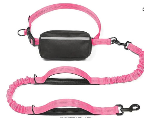 Hands-Free Leash