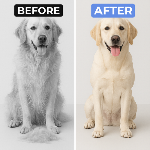 Grooming Vacuum