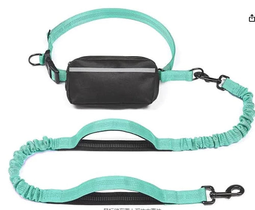 Hands-Free Leash