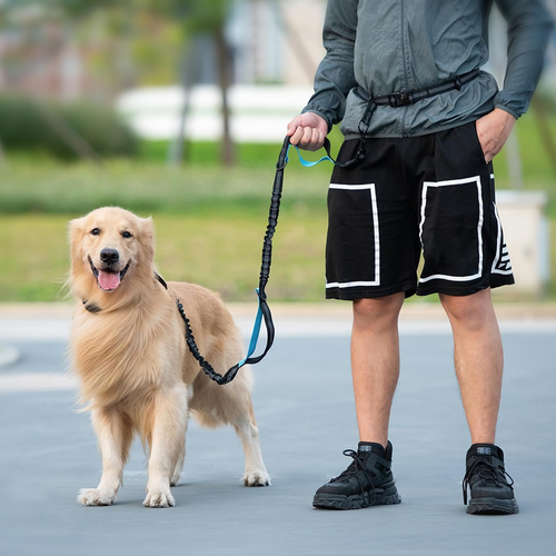 Hands-Free Leash