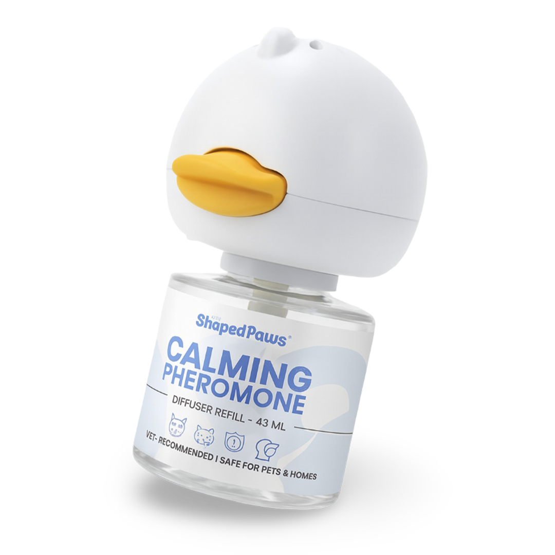 Calming for Pets.