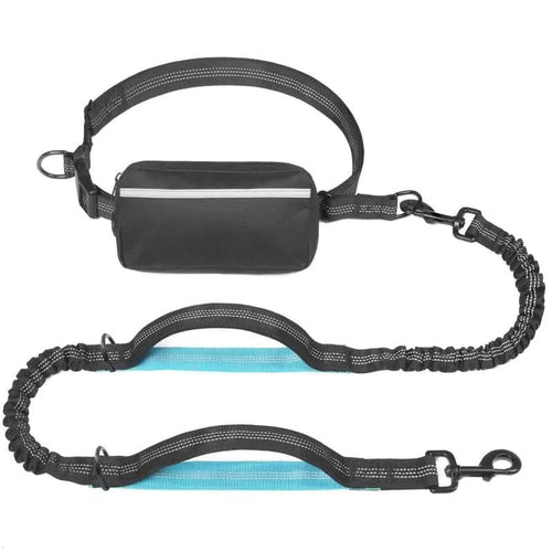 Hands-Free Leash