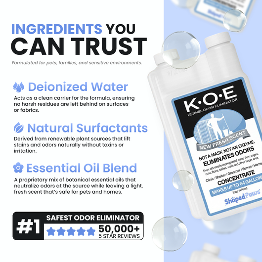 Pet Odor & Stain Eliminator