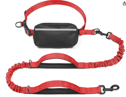 Hands-Free Leash