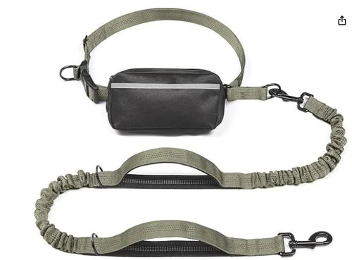 Hands-Free Leash