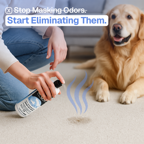 Pet Odor Eliminator Spray