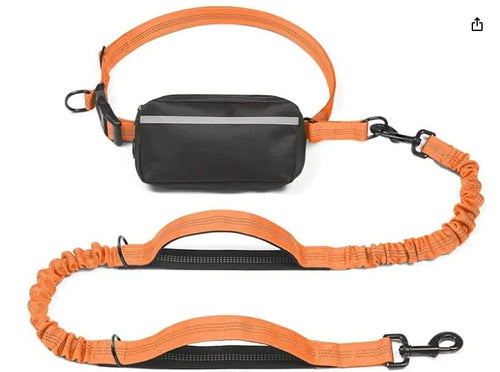 Hands-Free Leash
