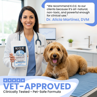 Pet Odor & Stain Eliminator