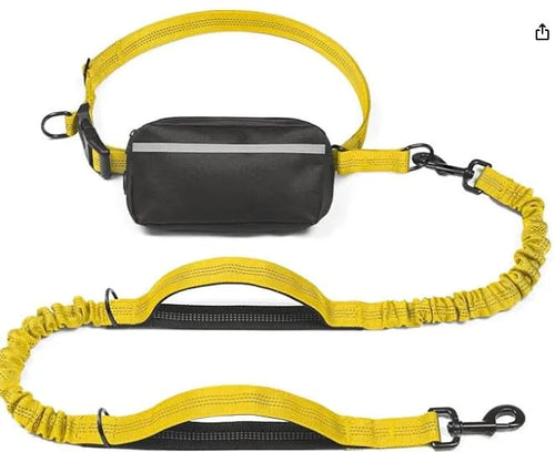 Hands-Free Leash