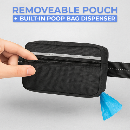 Hands-Free Leash