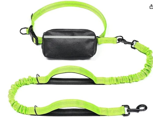 Hands-Free Leash